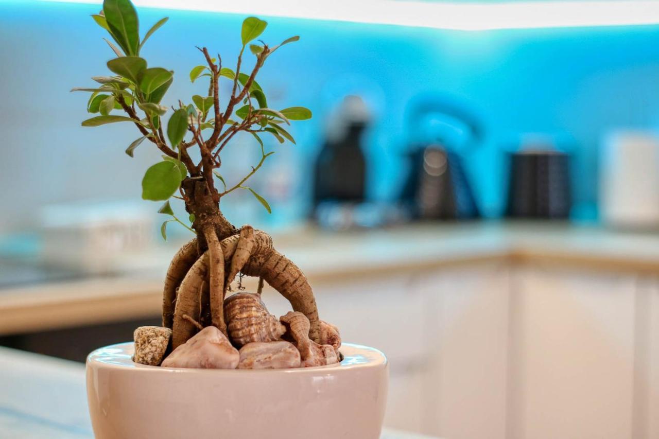 Inspiration Station - My Joyful, Cosy&Inviting Apt - Smart Thermostat - Private Parking - Ior Park - Long Term Price Cuts 부쿠레슈티 외부 사진
